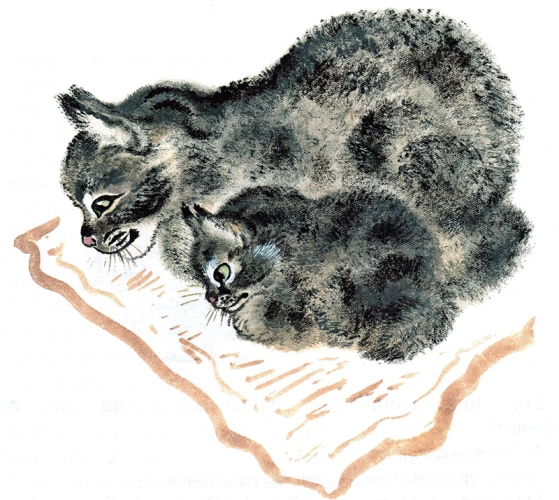 Тюпа маленький