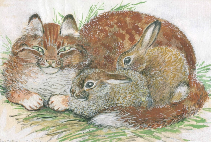 Про зайчат