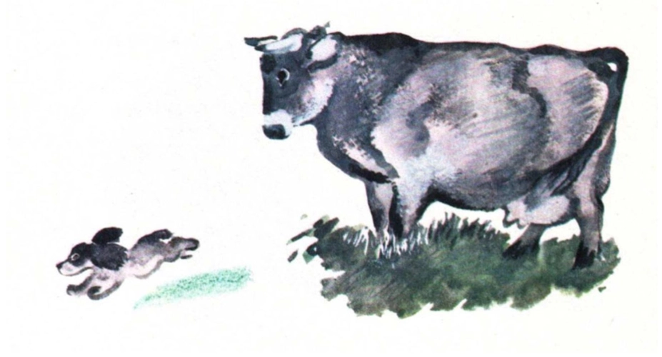 Томка испугался