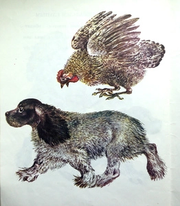 Как Томка не показался глупым