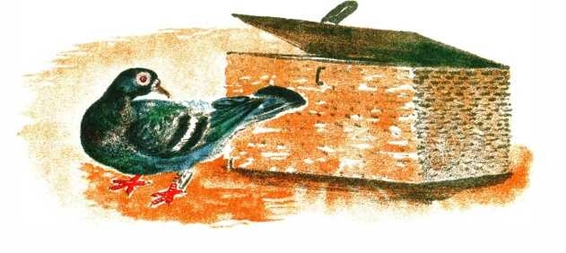 Удивительный почтальон