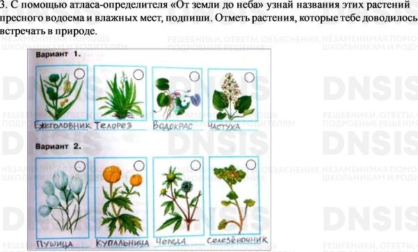 Знаешь ли ты растения пресных водоемов рассмотри изображения растений подпиши их названия 4 класс