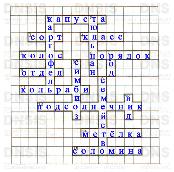 Рассмотрите рисунок 104 учебника приведите примеры каждой группы растений запишите в тетради