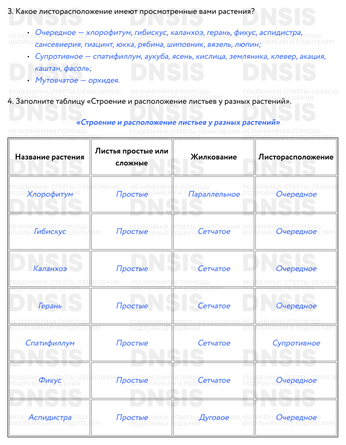 Листья простые или сложные жилкование листорасположение