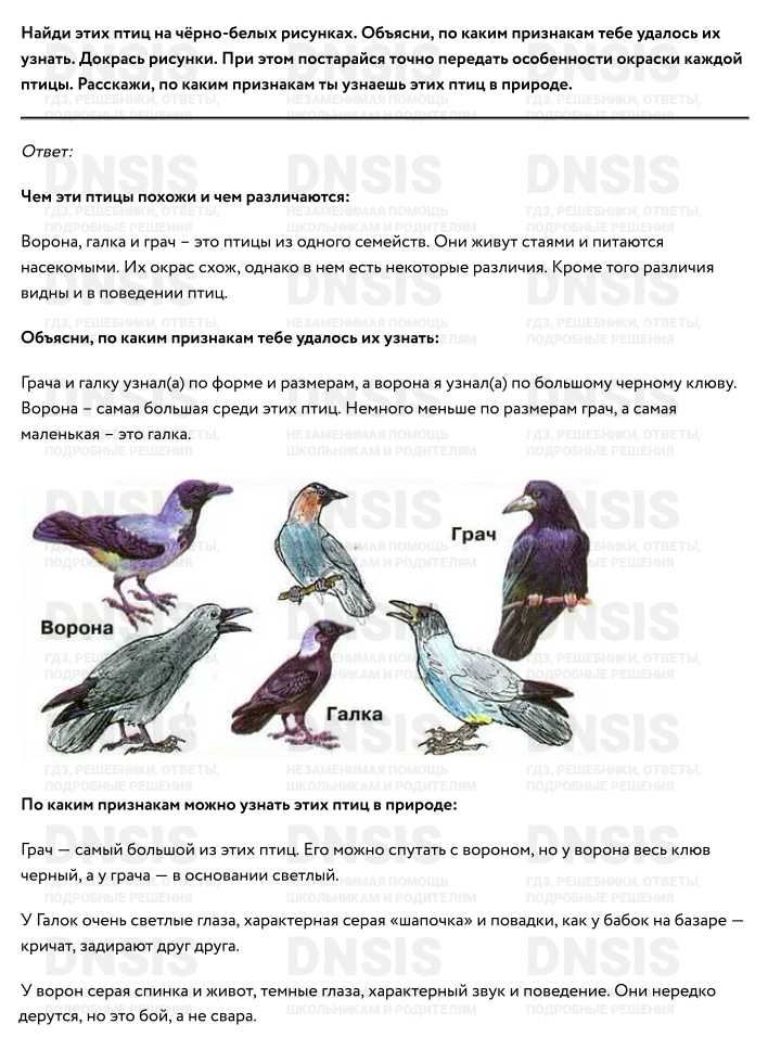 Практическая работа птицы. Практическая работа кто такие птицы 1 класс окружающий. Перья птиц окружающий мир 1 класс рабочая тетрадь. Кто такие птицы окружающий мир 2 класс рабочая.