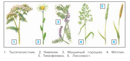 Окружающий мир 4 класс учебник Плешаков 1 часть страница 129 задание 2