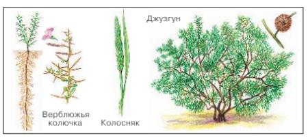 Окружающий мир 4 класс учебник Плешаков 1 часть страница 88 задание 1